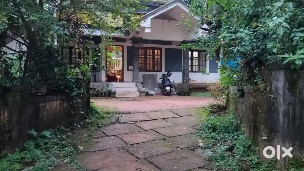 14.5 സെൻറ്