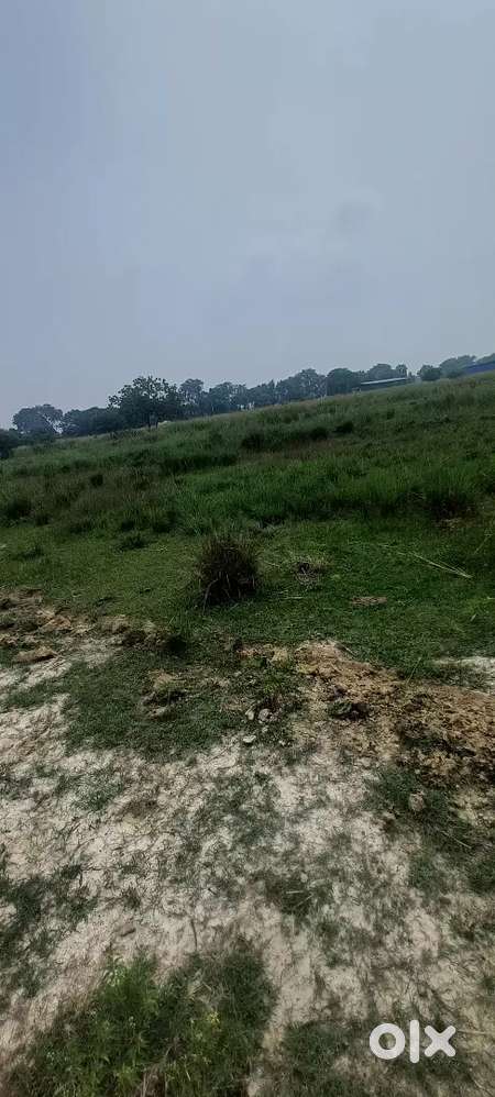 Dps school udawant nagar 6 dhur free me