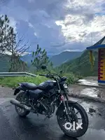 Brand new Condition top model