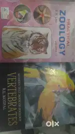 Tuitions at affordable cost