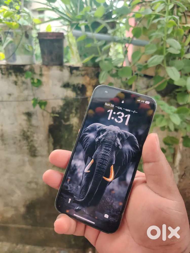 iPhone 13pro max 256GB