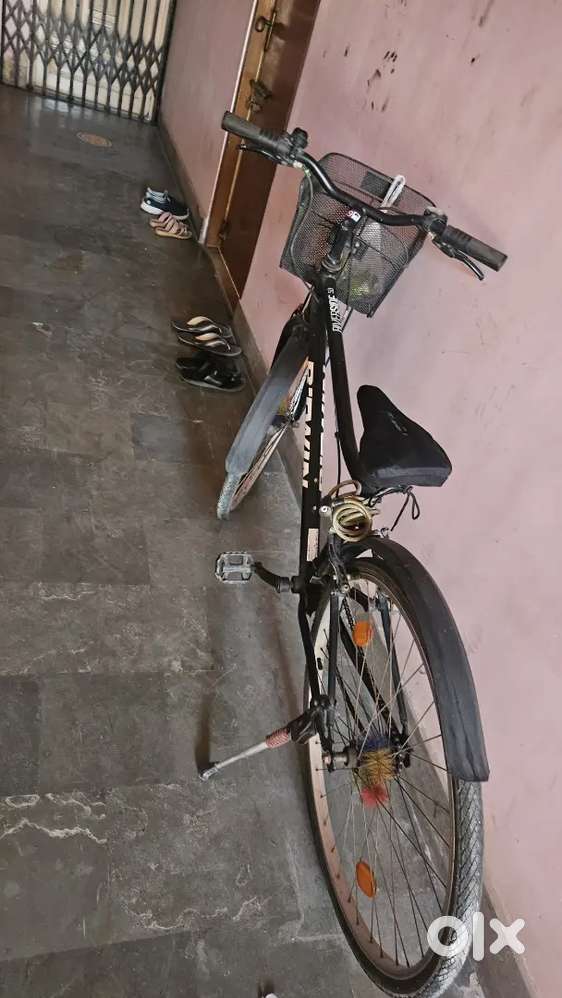 Riverside 50, Gear less Cycle