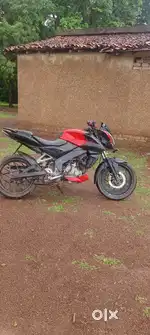 Aarjent sel