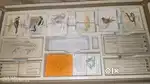 Card games