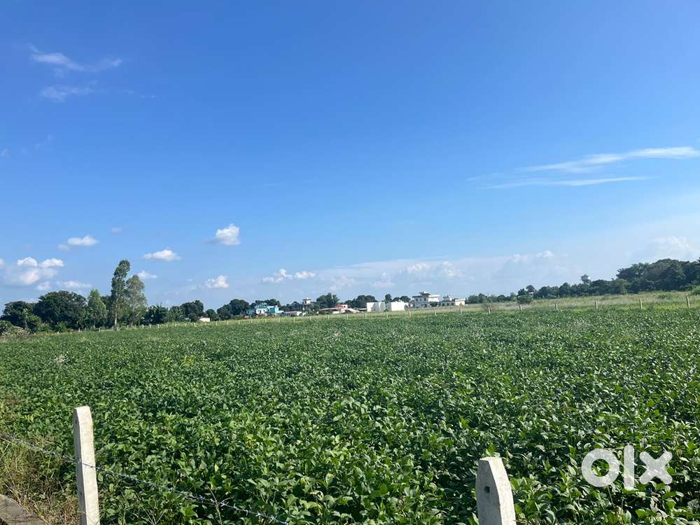 Land for sale