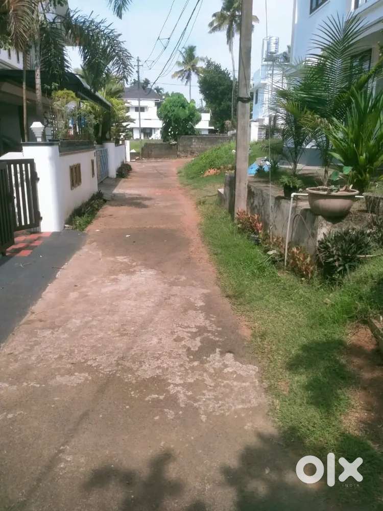 Near  confidant villa pookkattupadi