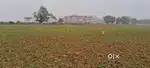 plot in Bihta Near NIIT