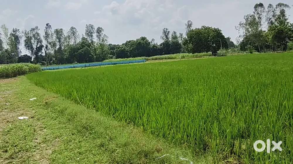 रोड से कनेक्ट खेती करने वाली जमीन बिकाऊ है