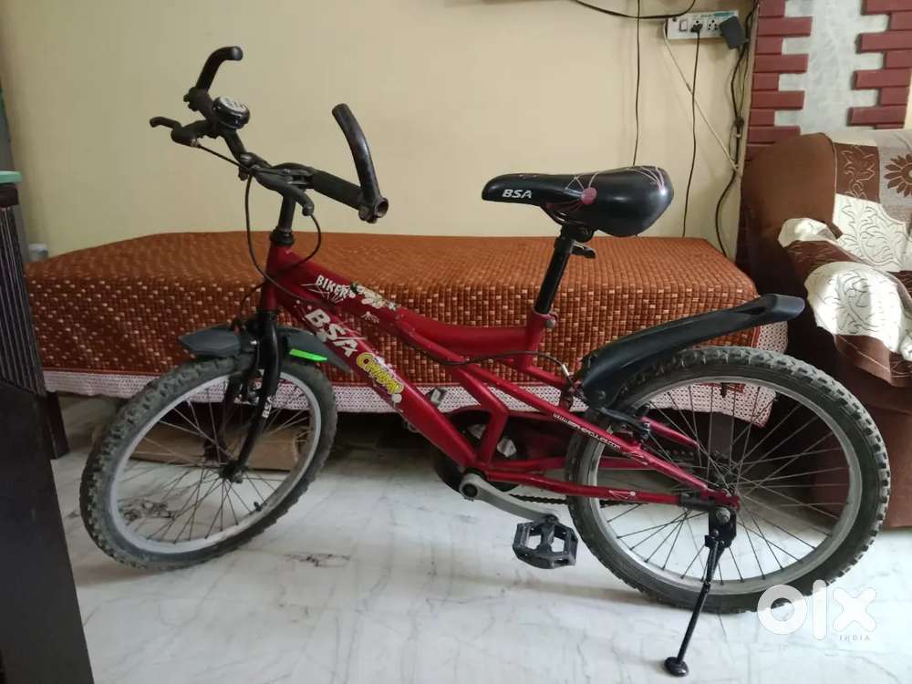 1  Bycicle BSA champ for kids