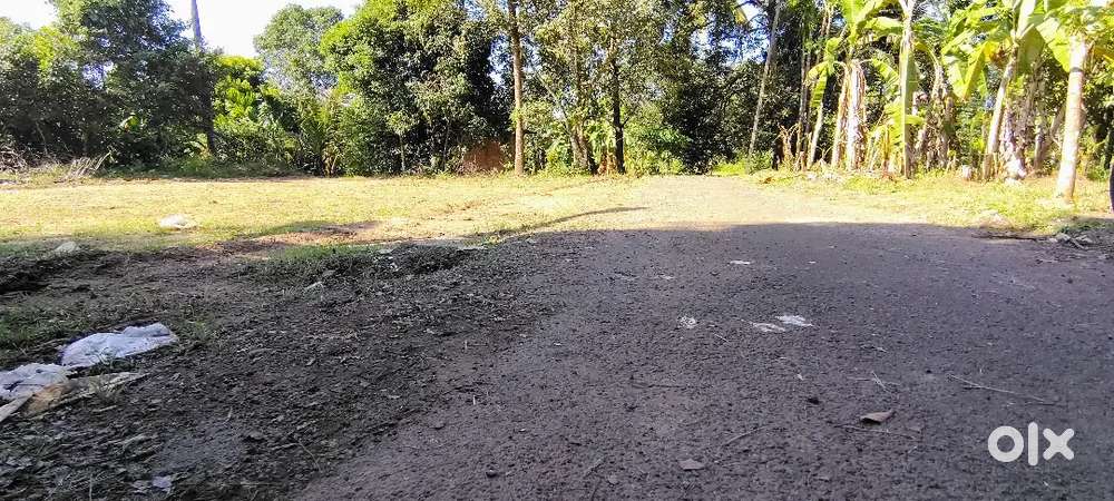 5 CENT LAND FOR SALE AT ATHANI