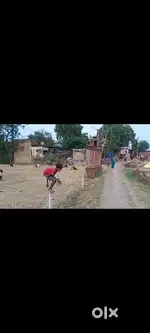 Investment plot available at phoolwariya