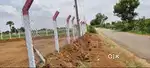 Dambar Road BIT,Clear Title,15 guntas Agriculture land for sale