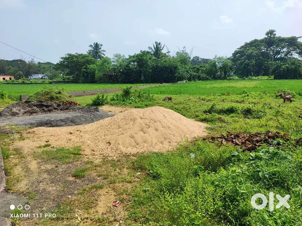 Boundary Wall Property For Rent