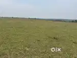 Land for Sale! - Location: Belur - 10 acre land