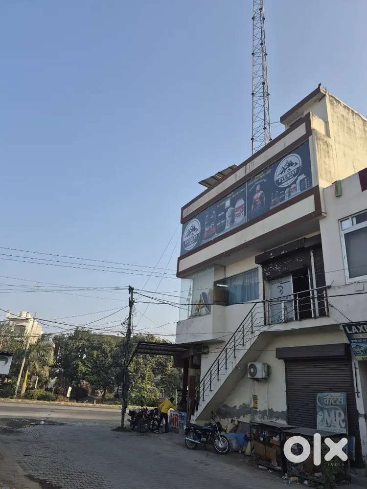 Reqird honest person for job