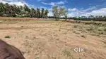 Agriculture Land for sale