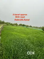 Orchards and plots for sale