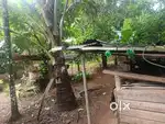 30cent plot for sale in kodaly.300meter from kodakara kodaly main road