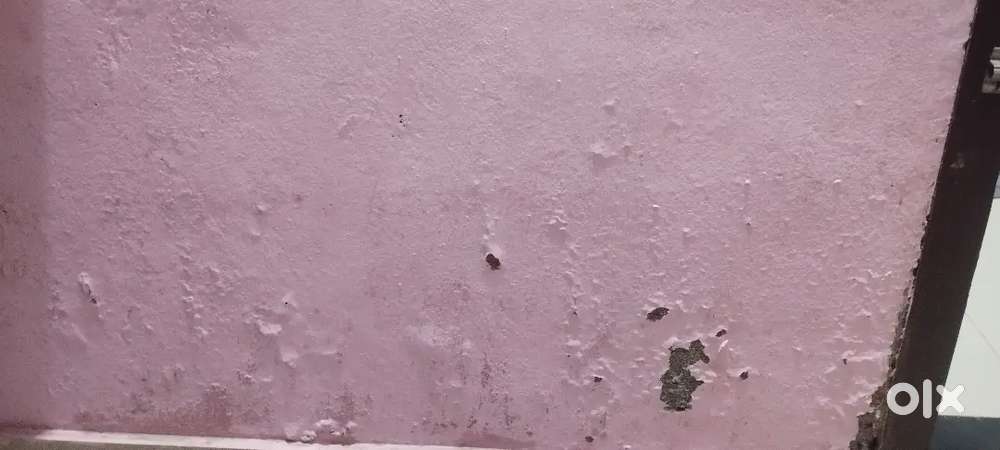 Marbile,mosaic repolesh