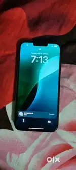 13 Pro Max