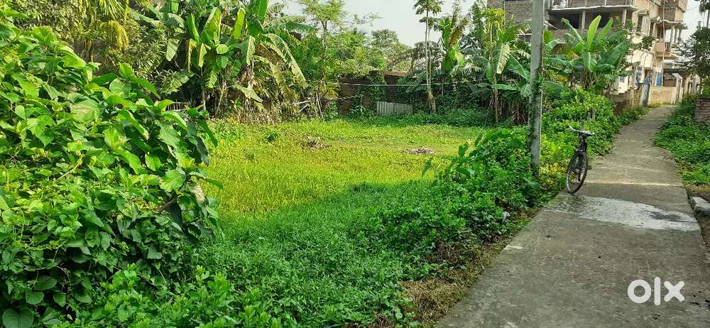 4 Katha 3 Chatak Plot sale