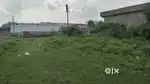 Cumerical plot
