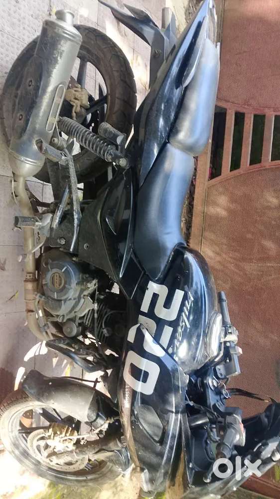 Palsar 220