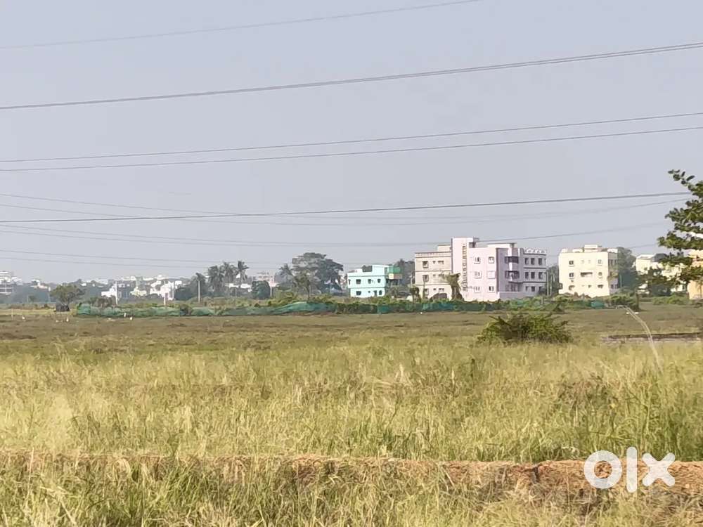 Plotting project near AIIMS hospital back side