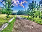 farmland plot