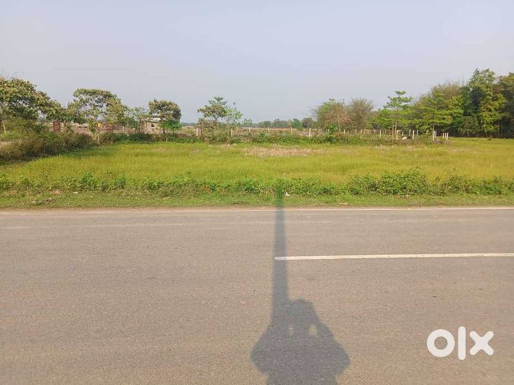 FOR SALE MYADI LAND 03 BIGHA 00 KATHA 00 LESSA