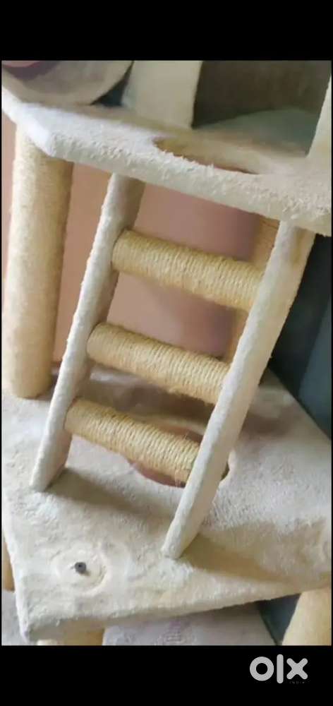 Forbes bubby pet grooming kit