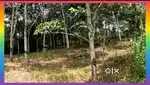 2.4 Acre land  Poothadi Panchayath