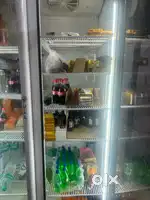 Rainija double door commercial fridge