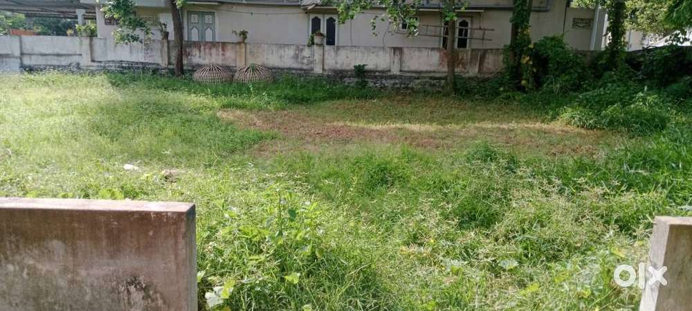 Mudineaplli(Md), Mudinepalli in a near to busstand 10cents open plot p