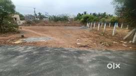 4.83 Cent,Dtcp Approved,North Facing Land in Vadavalli,CBE Corporation