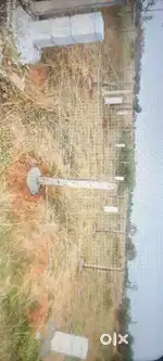 Plot in drivers colony