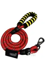 dog rope leash