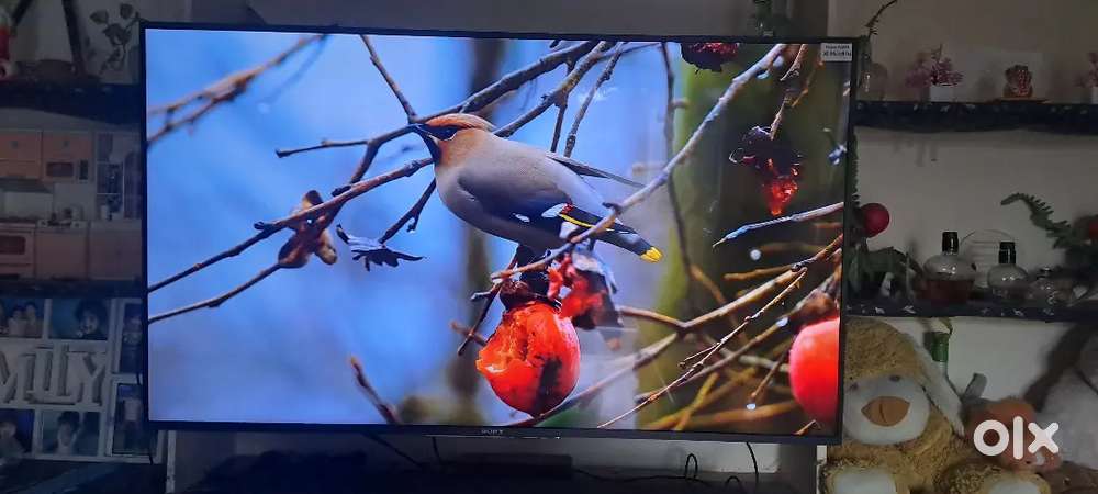 Sony 55 inch 4k HDR android tv slim metal body 55x8500d