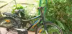 A good condition 4years old cycle without any damage.