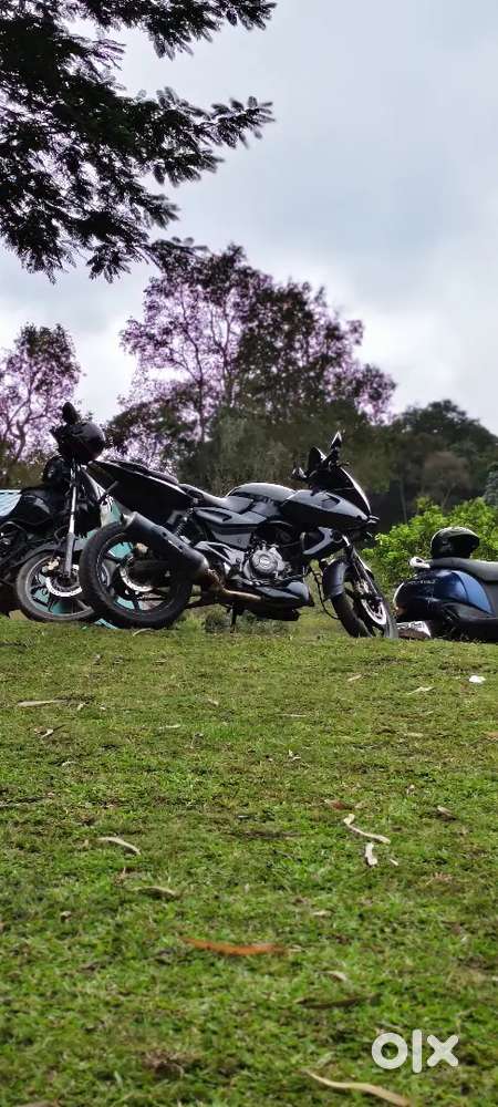 Pulsar 220f 2013