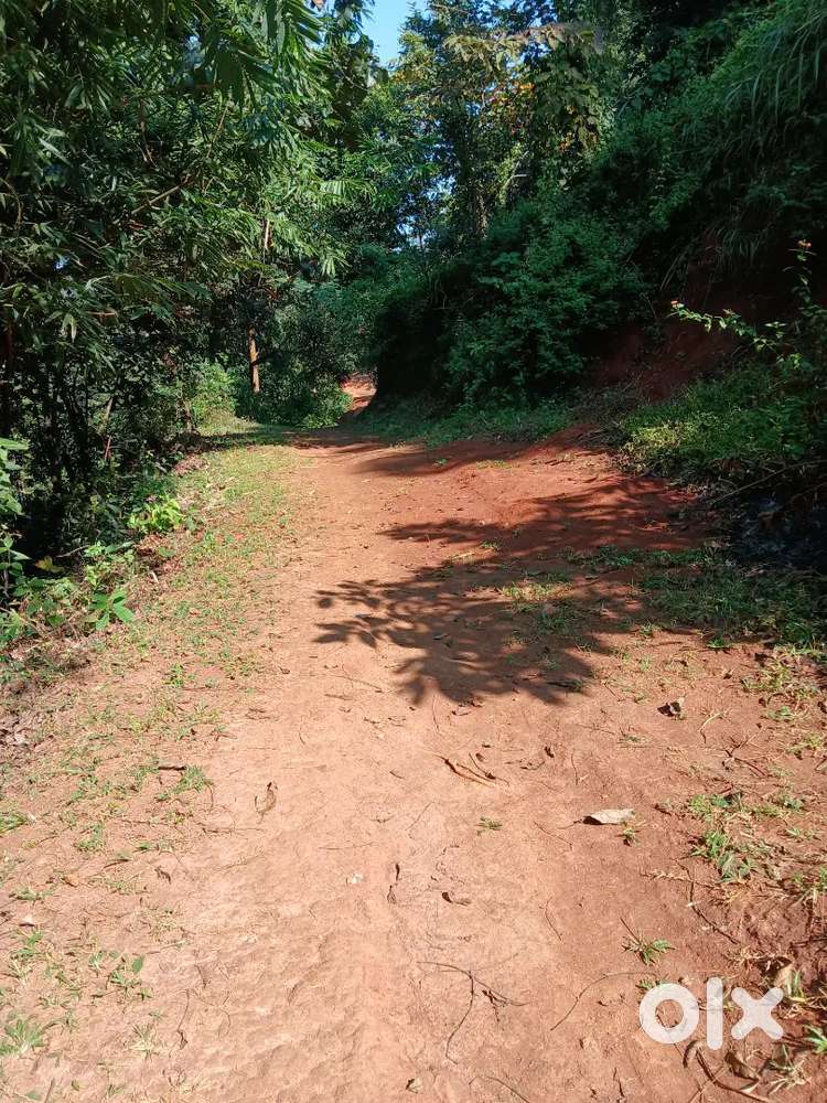 Land for sale at bonda sopaitag 1kotha 5lesa