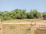 19Cents Residential Plot for sale at Chithrapora.