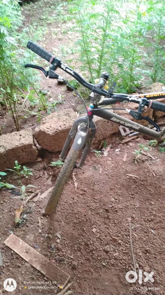 The cycle is in very good condition.