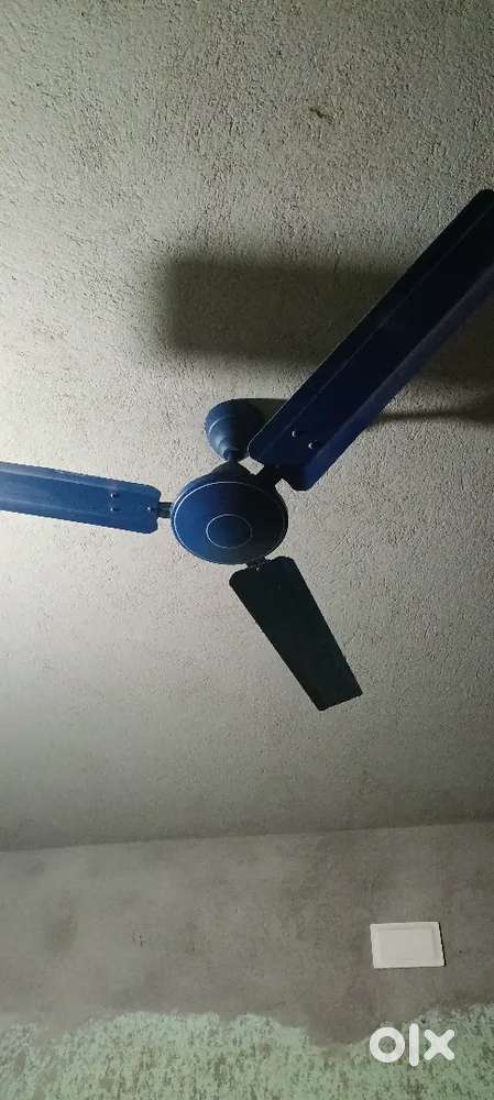 Celling fan v gurd