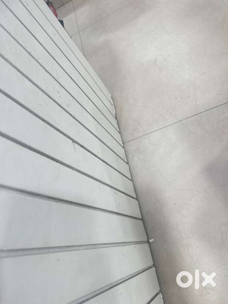 we need a single girl pg