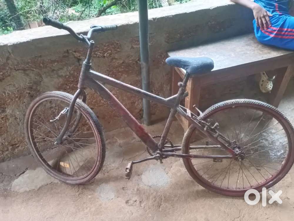 Super Amazing Wonderful Cycle