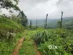 8 ACER LAND IN COLDY AREA SUITABLE FOR TOURISM @WAYANAD -KUTTIYADI RD