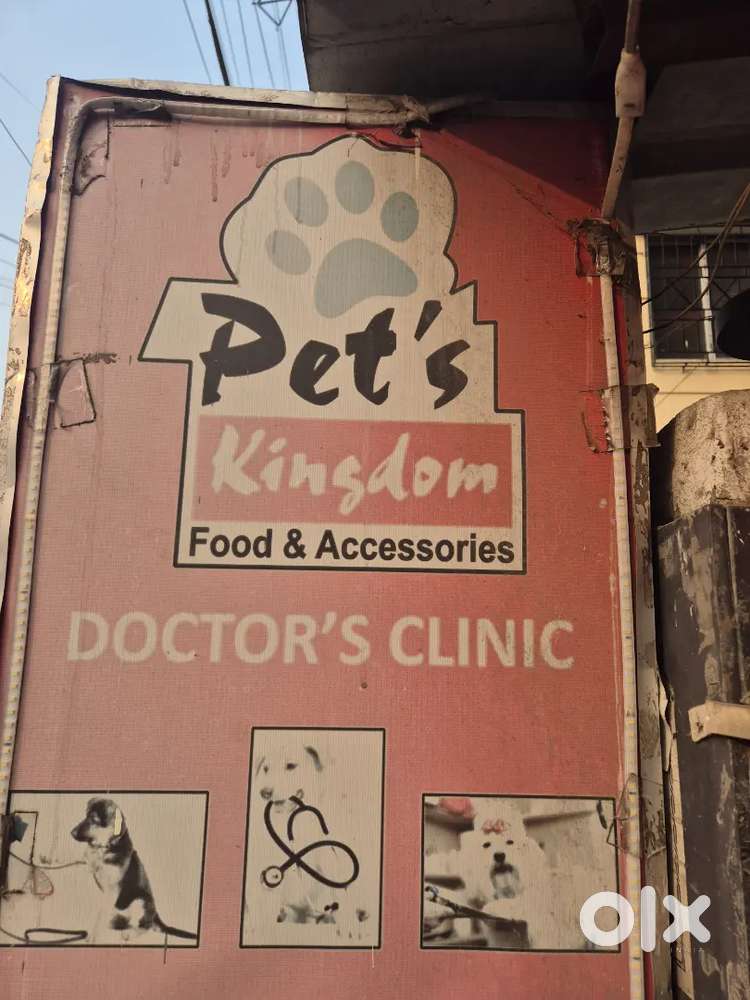 NEED A GIRLS/BOYS FOR BILLING PURPOSE