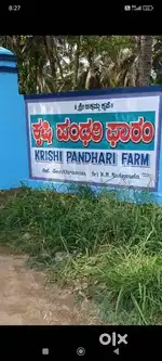 AGRICULTURAL LAND