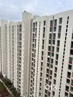 Available 3 bhk Flat On Rent